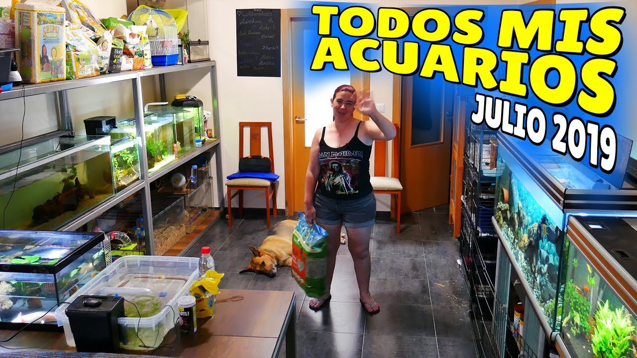 Resumen Mensual🐠 💦Especial Acuarios - JULIO 2019