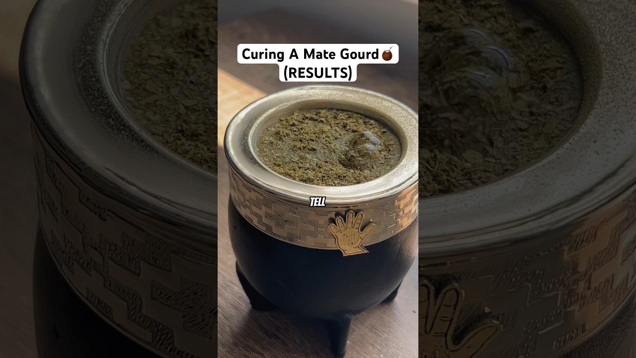 Curing A Mate Gourd (RESULTS!)🧉