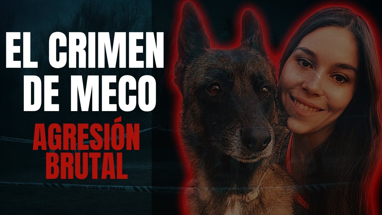 El crimen de Meco: 84 heridas, una traición y seis años de silencio