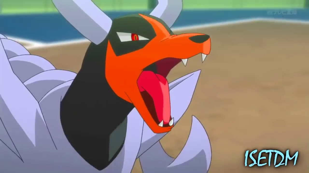 MEGA Venusaur VS MEGA Charizard   Feat  MEGA Alakazam, Pinsir, Houndoom, Aggron