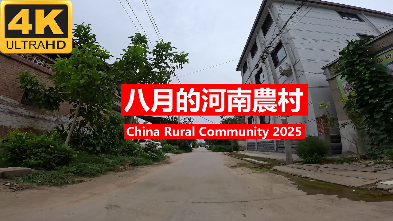 八月的中國河南省農村 2025 China Rural Community