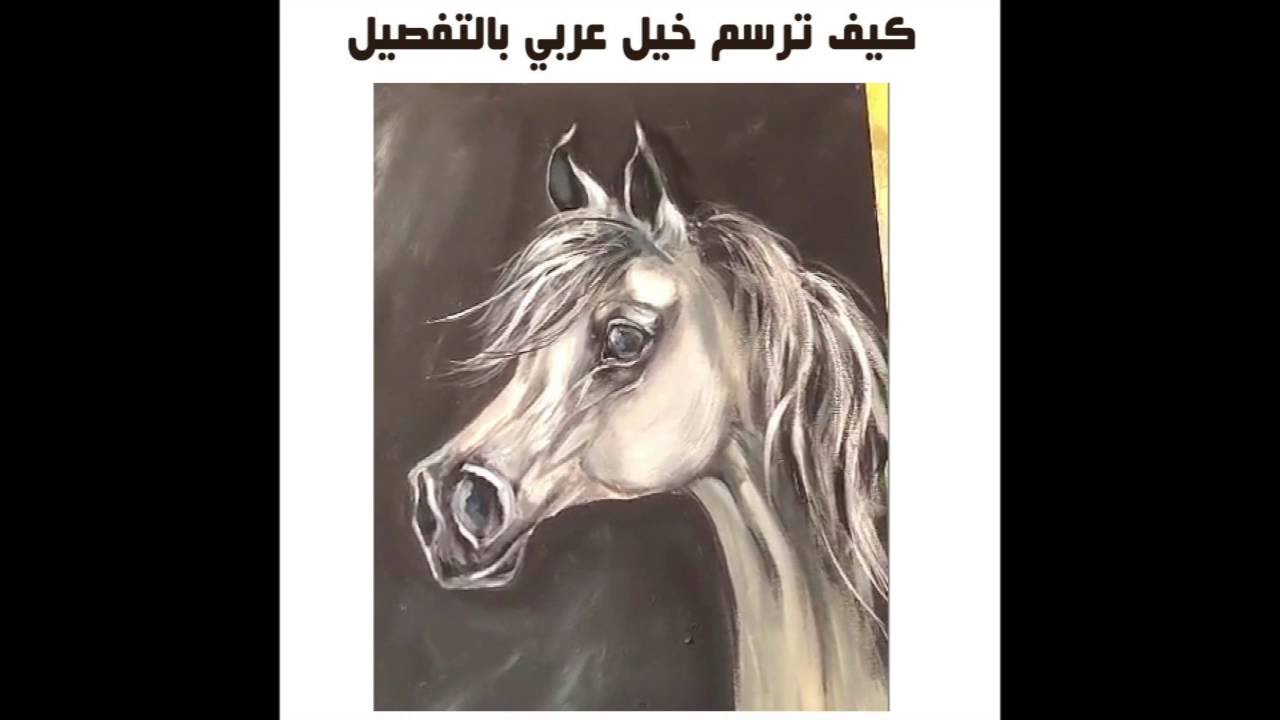 How to draw arabic horseكيف ترسم حصان (خيل عربي) بأسهل طريقه  بألوان الاكريلك دروس نوره بن سعيدان