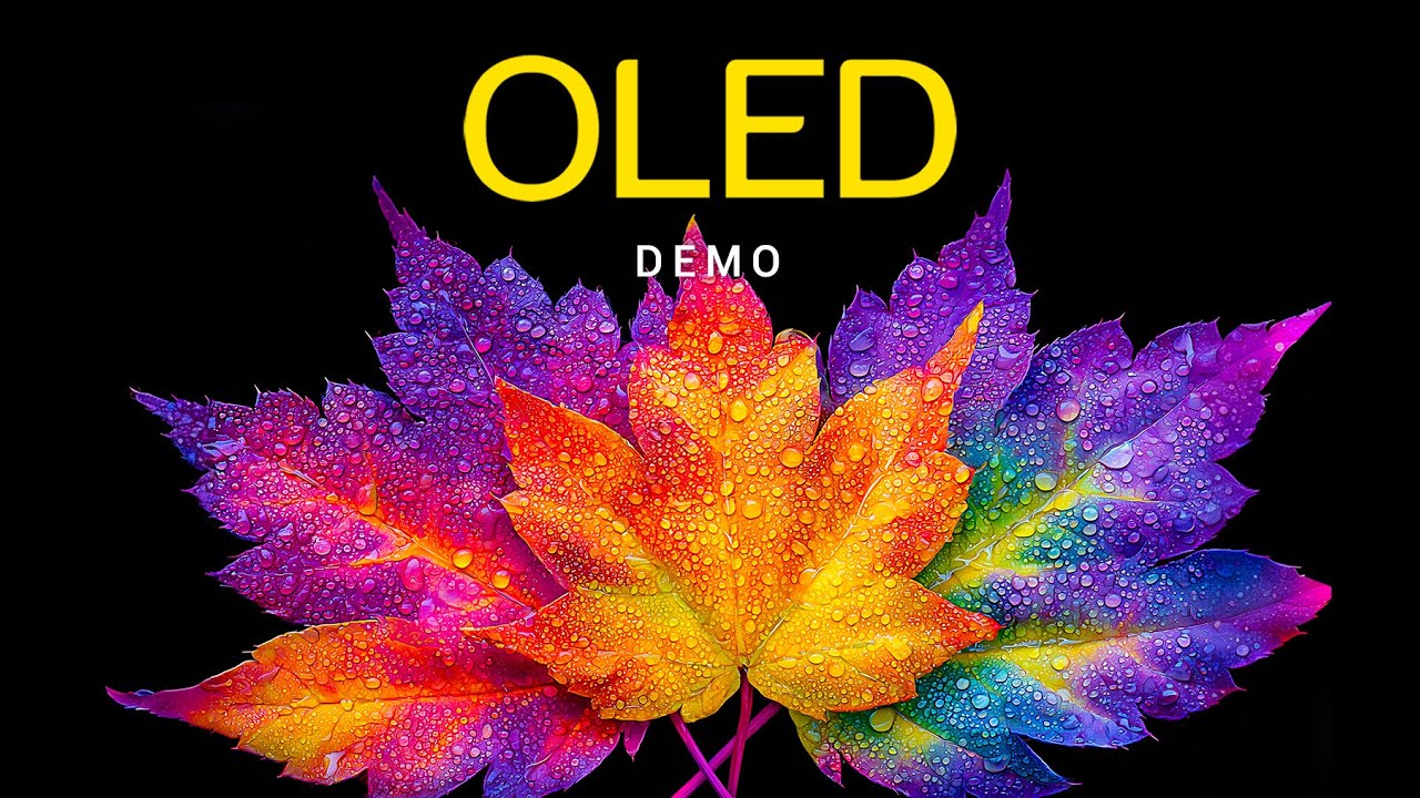 Ultimate OLED Demo – Infinite Contrast HDR 4K Dolby Vision