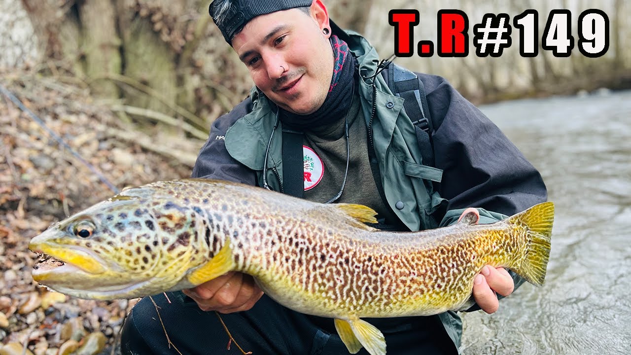 👉PESCO UNA DE LAS TRUCHAS MAS BONITAS DE MI VIDA⚠️ [PESCA CON VINILO]⚠️