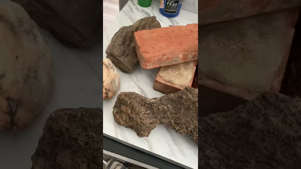 Barrington Gets an Updated Enclosure! | Radical Reptile Fun #bluetongueskink #enclosure #update 