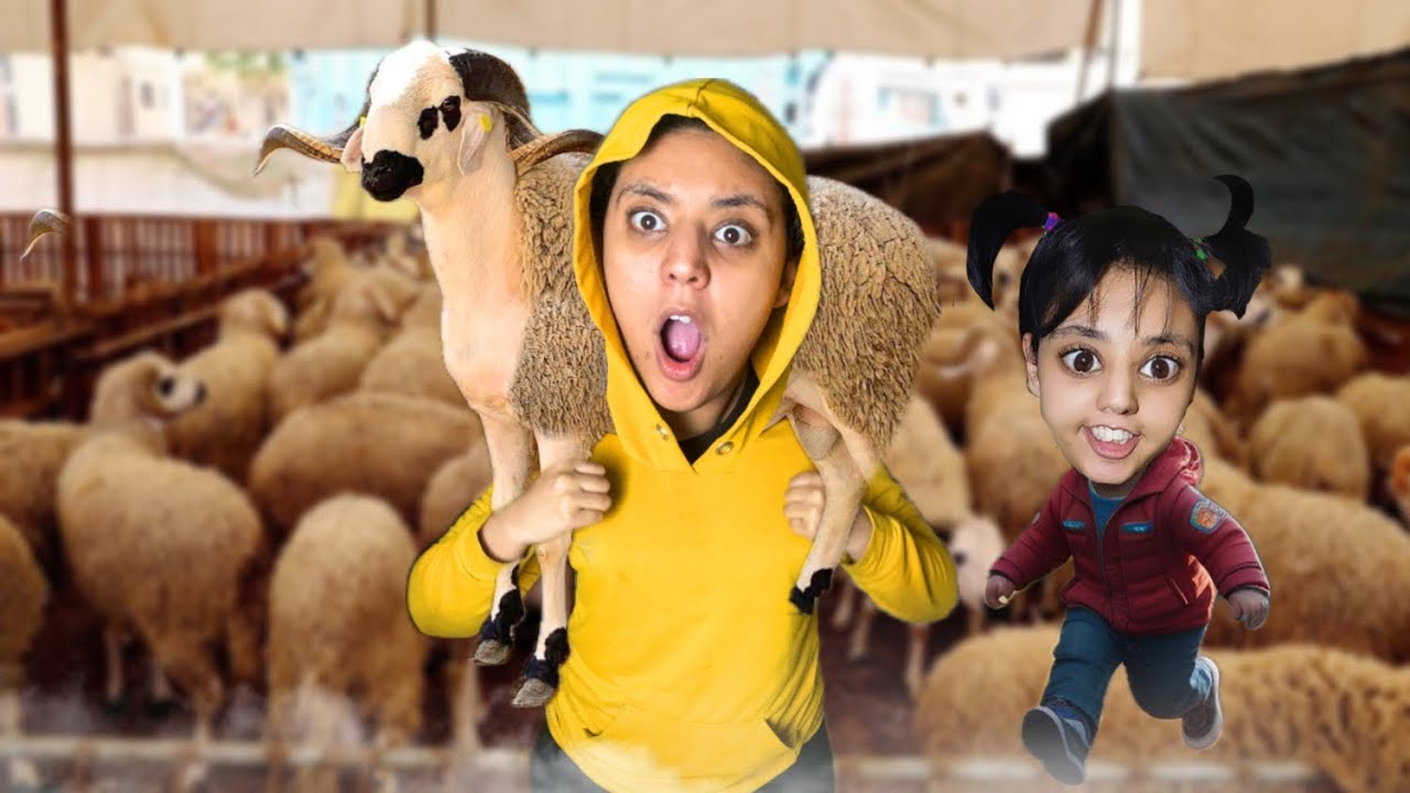 بعنا الأثاث باش نشريو الحولي -عيد الكبير 🐏