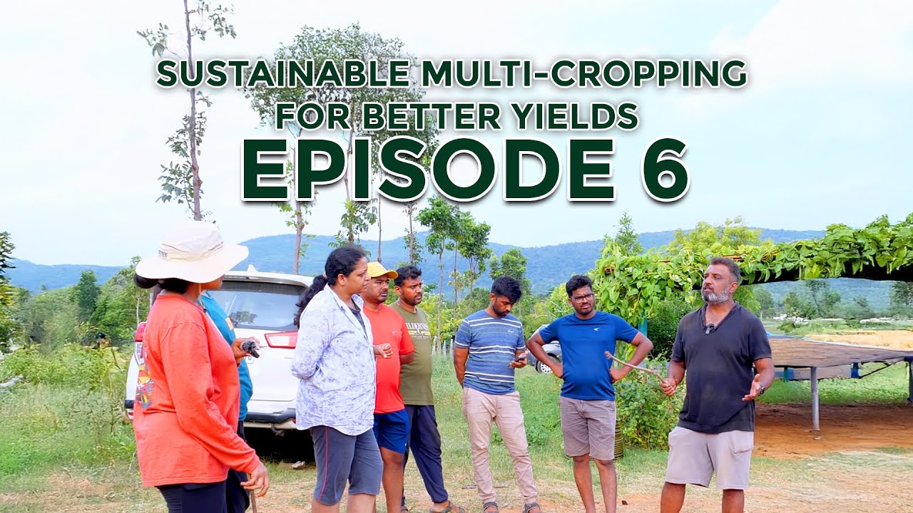Pure Roots: The Untold Story of Organic Farming | Ep 6 - Revolutionizing Farming with Multi-Cropping