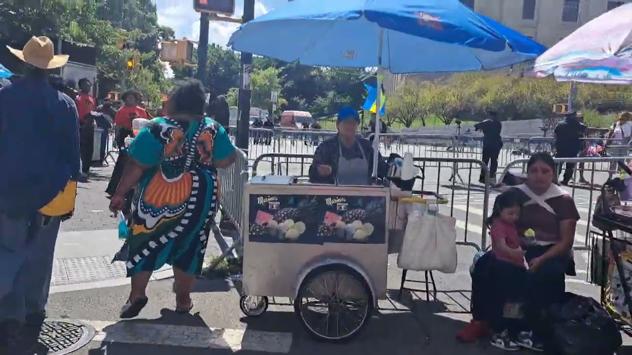 From The @WIADCA Parade Eastern Parkway 2024 9/2/24 West Indian Parade NyCl #laborday #nyc #brooklyn