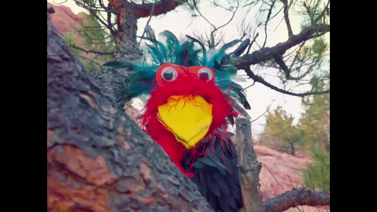 Throwing Rocks - Official Music Video