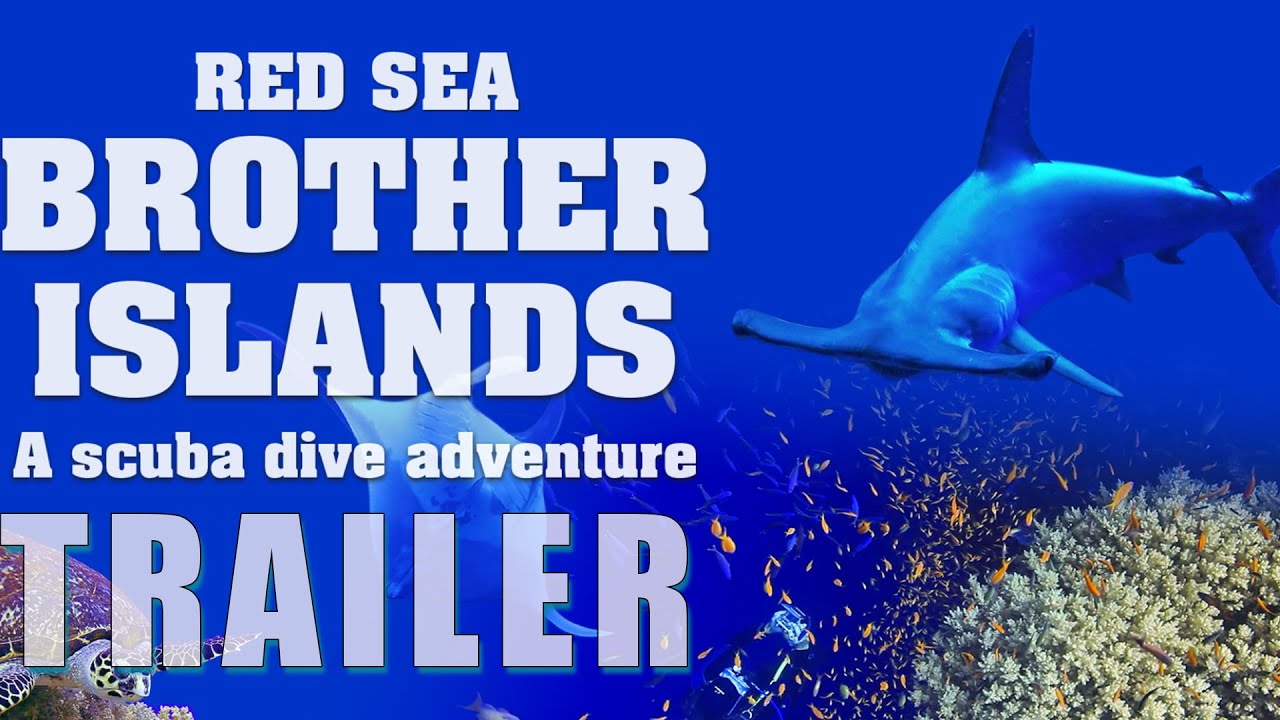 RED SEA: BROTHER ISLANDS &ndash; A SCUBA DIVE ADVENTURE Official Trailer (2024) Documentary