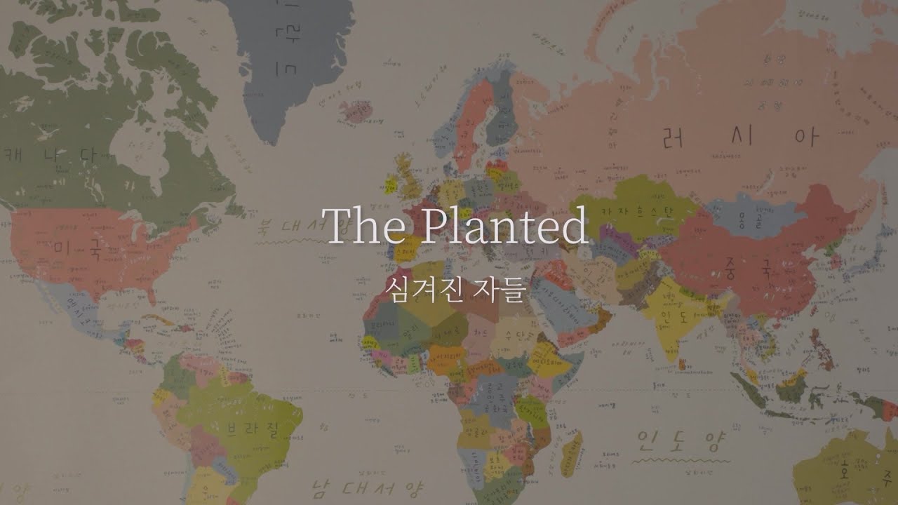 The Planted   심겨진 자들 | 2025 HGU다큐