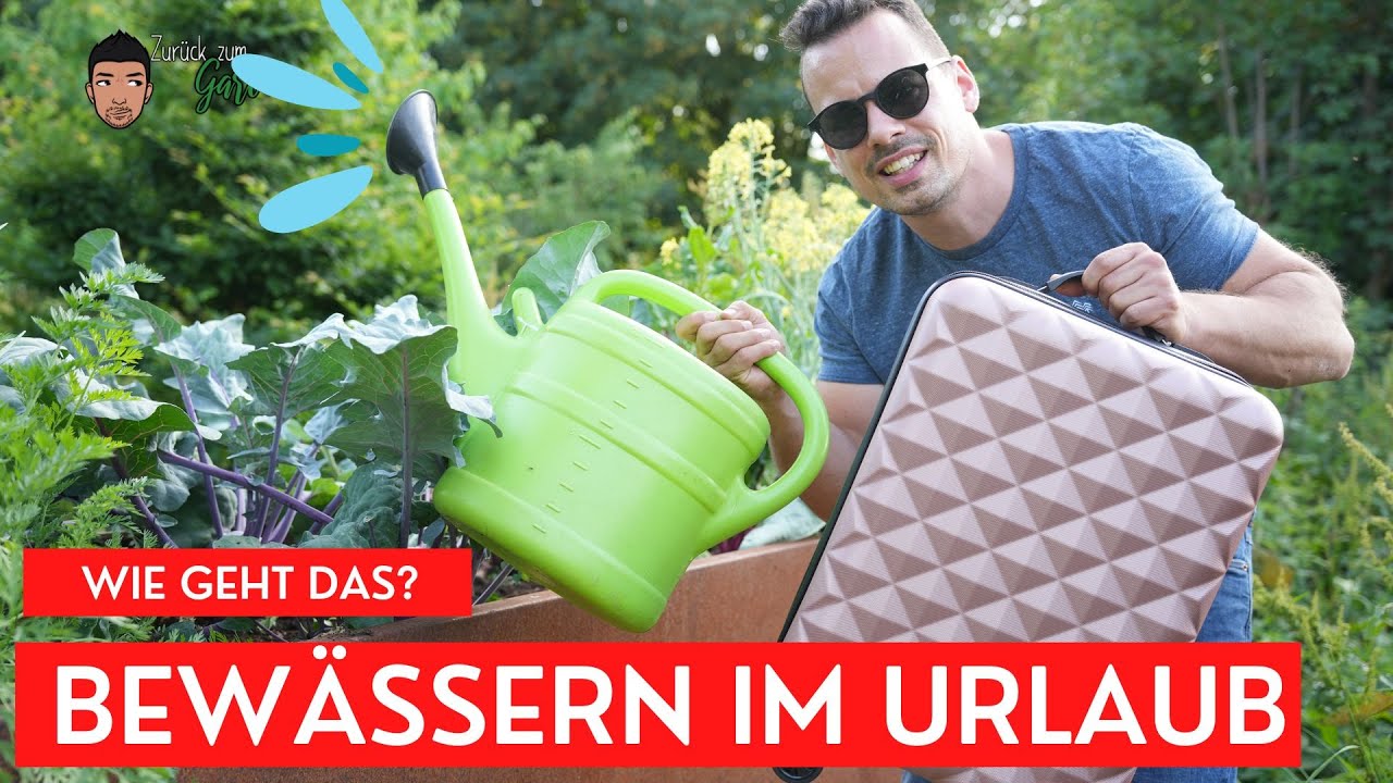 Bewässerung im Urlaub - So gießt sich mein Garten von alleine mit RainPoint