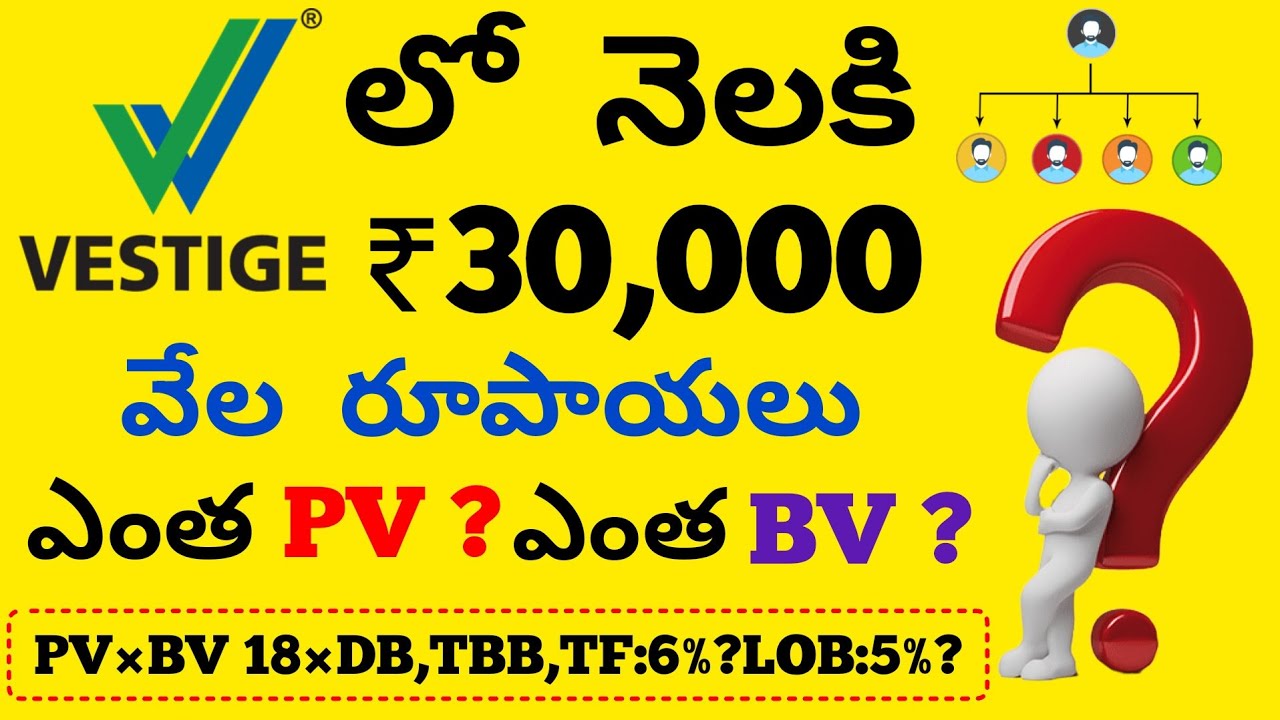 Vestige Telugu, vestige business plan in Telugu,DB bonus,TBB bonus,TF bonus,LOB bonus,? in Telugu.