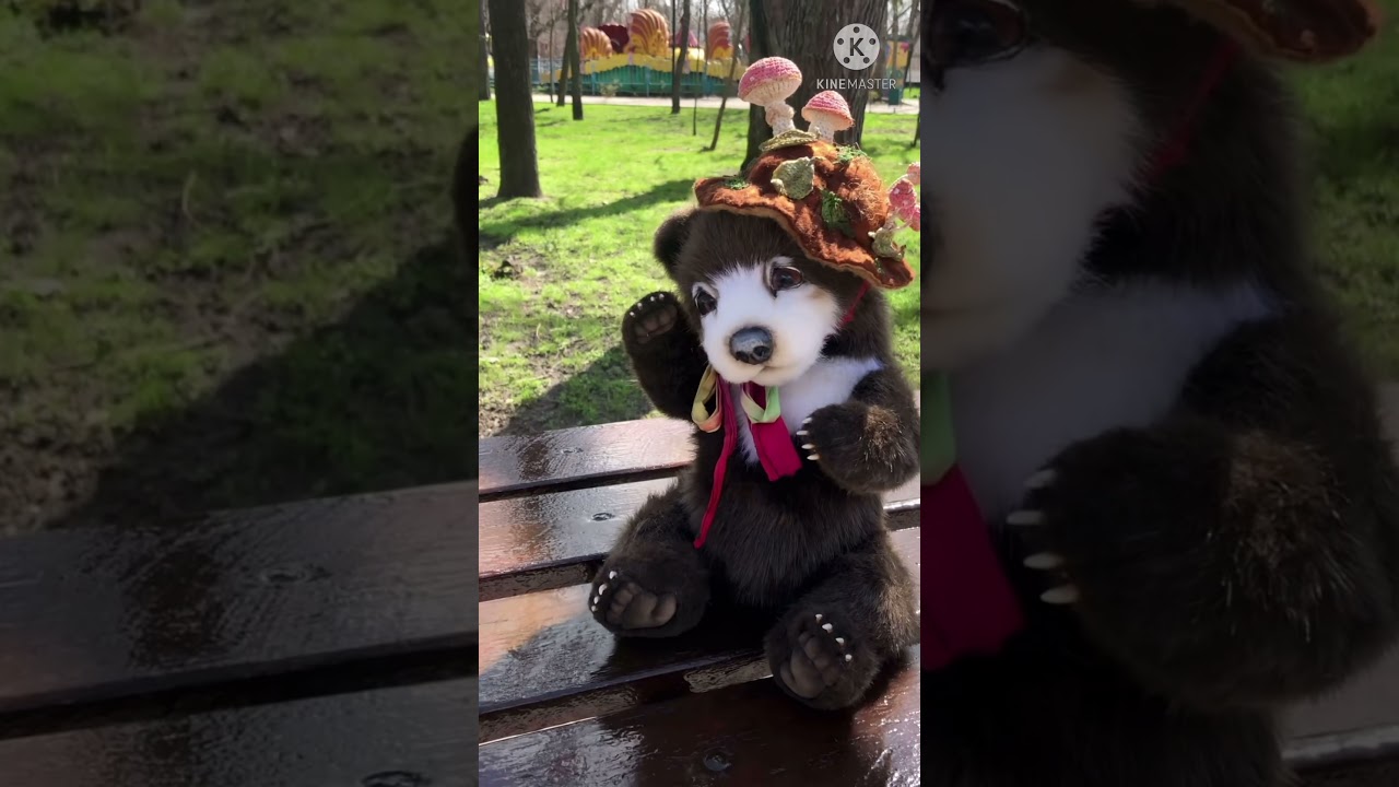 Bear Gwindor