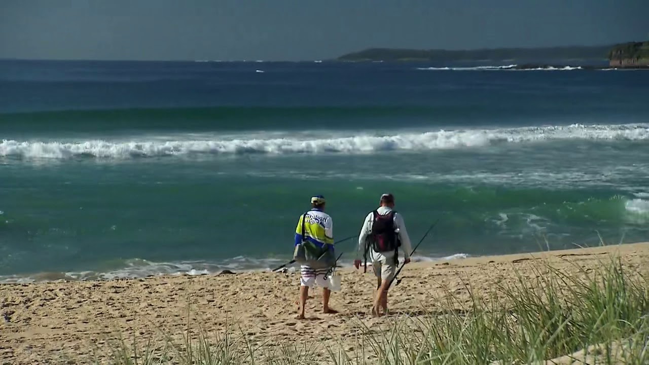 Whiting Fishing Basics