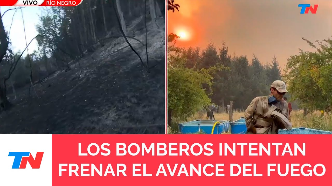EL BOLSÓN | Hace días que el fuego avanza sin control: se perdieron miles de hectáreas de bosques
