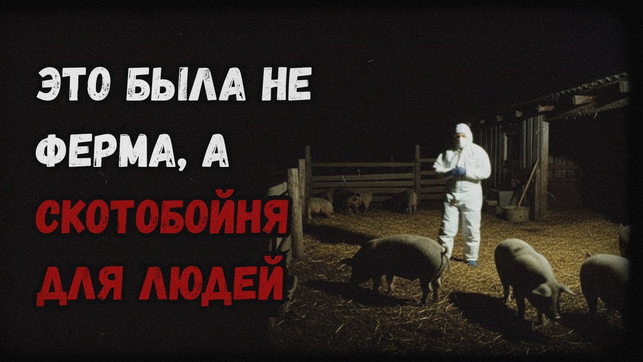 Простой работяга устроился на ферму и В УЖАСЕ УЗНАЛ, ЧТО ТАМ РАЗБИРАЮТ ЛЮДЕЙ ВМЕСТО СКОТА