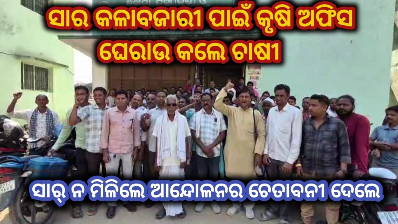 ସାର କଳାବଜାରୀ ଲାଗି ଚାଷୀ କୃଷି ଅଫିସ ଘେରାଉ କଲେ//ସାର ନାଇ ମିଳିଲେ ଆନ୍ଦୋଳନର ଚେତାବନୀ ଦେଲେ ଚାଷୀ #farmer #news