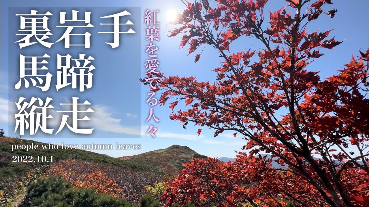 【裏岩手馬蹄縦走】紅葉を愛でる人々【三ツ石山】
