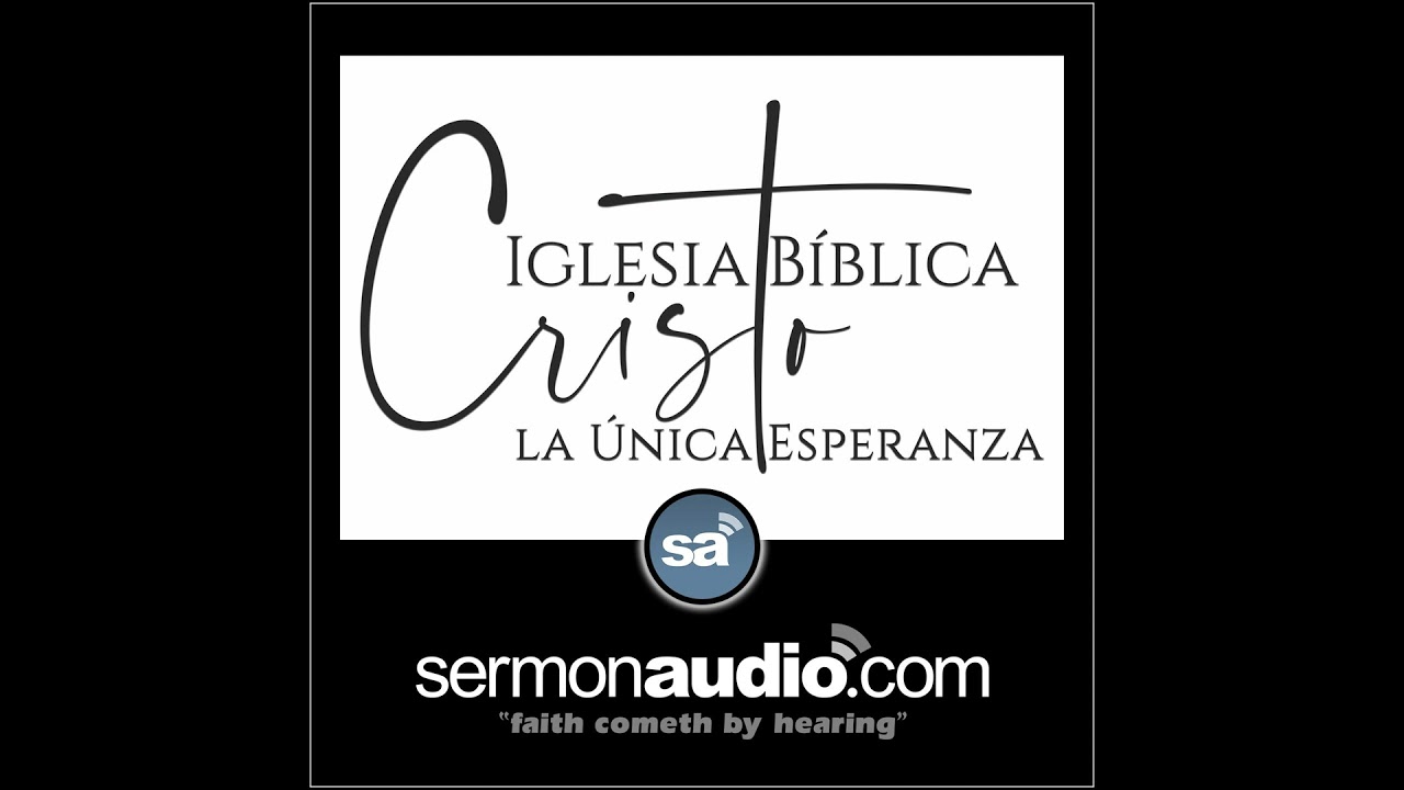 Dios justifica al pecador por Su gracia; ¿lo crees?