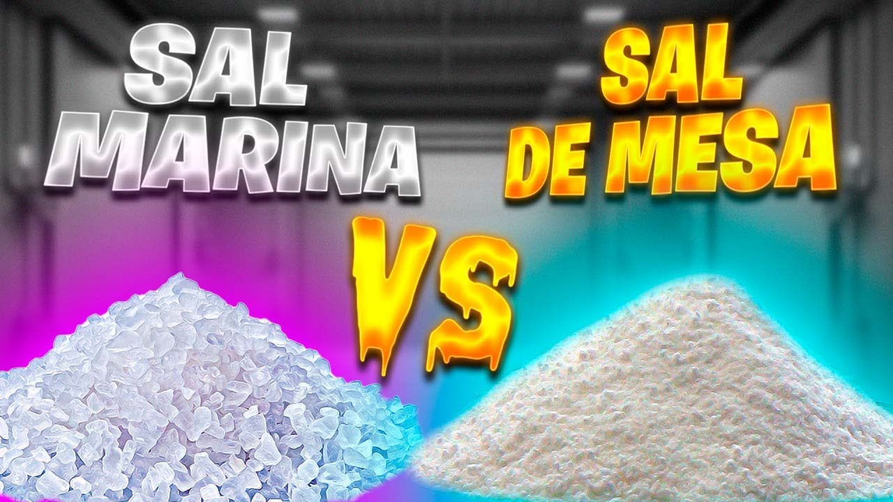 &iexcl;Sal marina vs Sal de mesa! &iquest;Cu&aacute;l es la MEJOR para tu salud? 🌊🧂