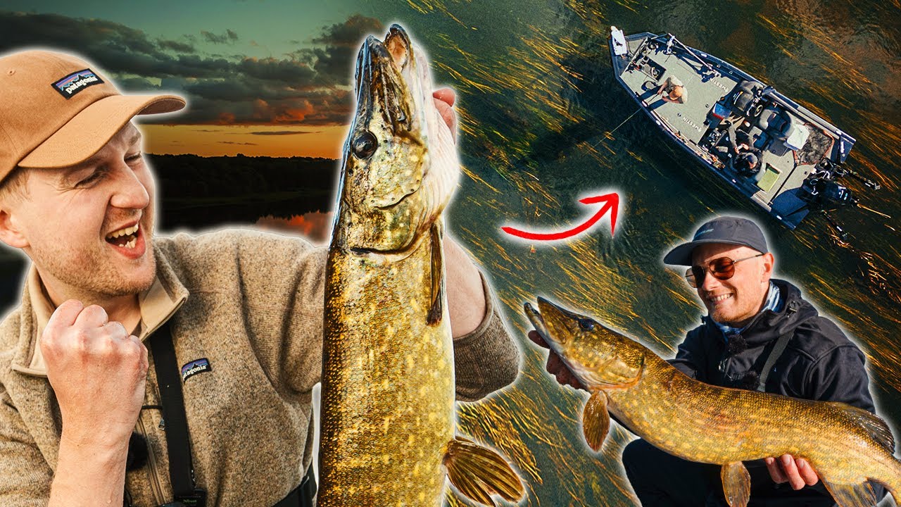 DET VILDESTE HUG!😲 På Jagt Efter Danmarks Krokodille🐊