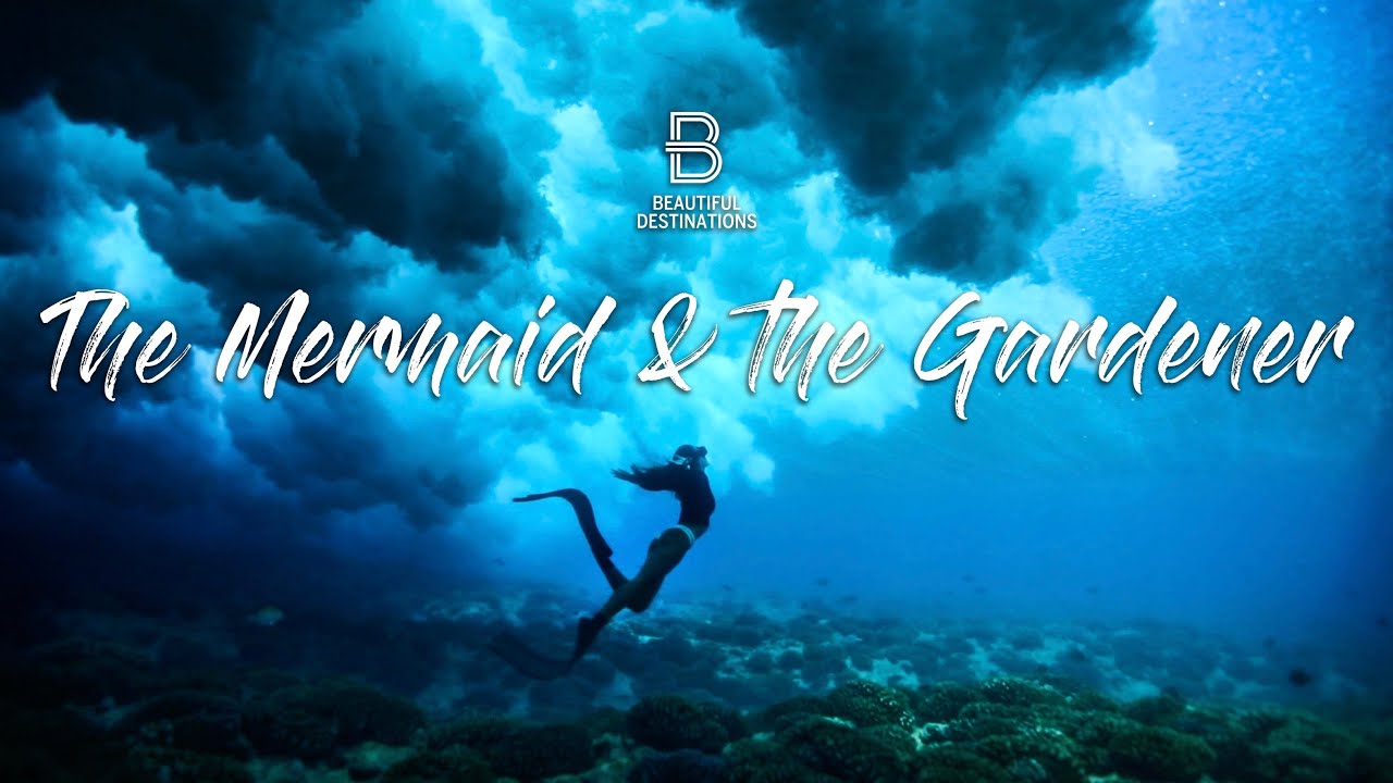 The Mermaid & the Gardener