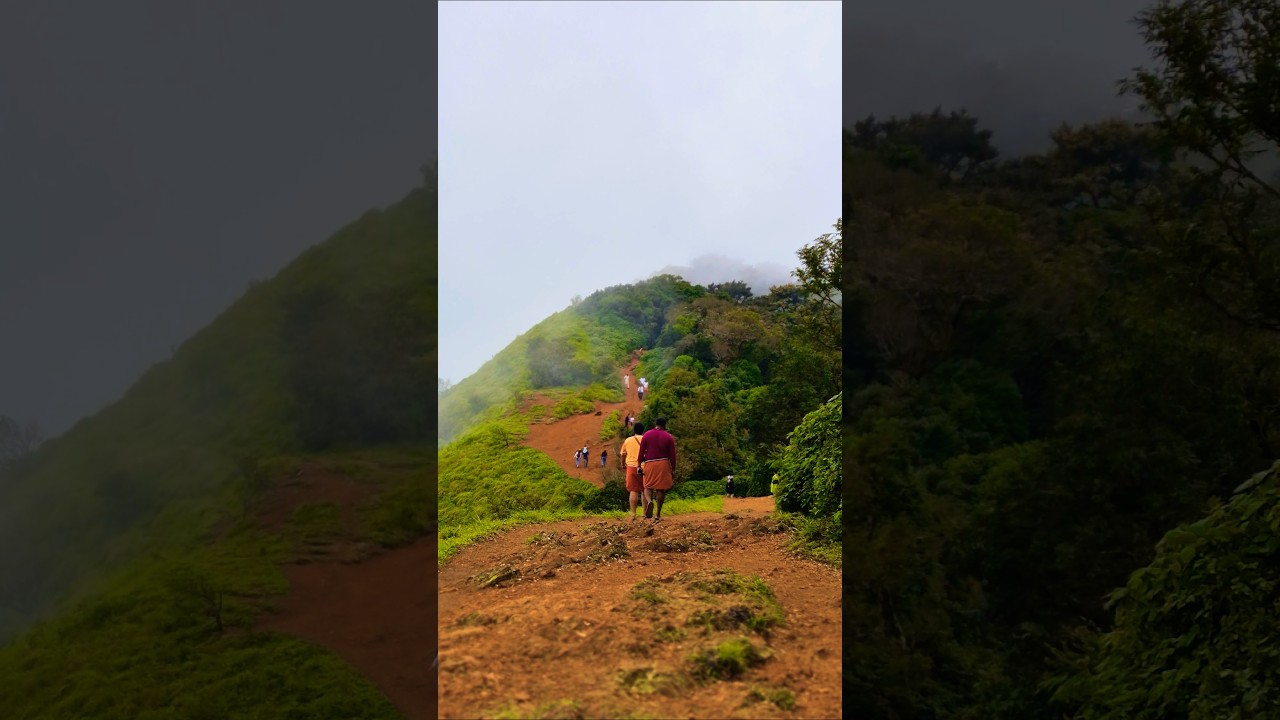 എത്ര പോയാലും മതിവരാത്ത കുടജാദ്രി യാത്ര 🥰 #shorts