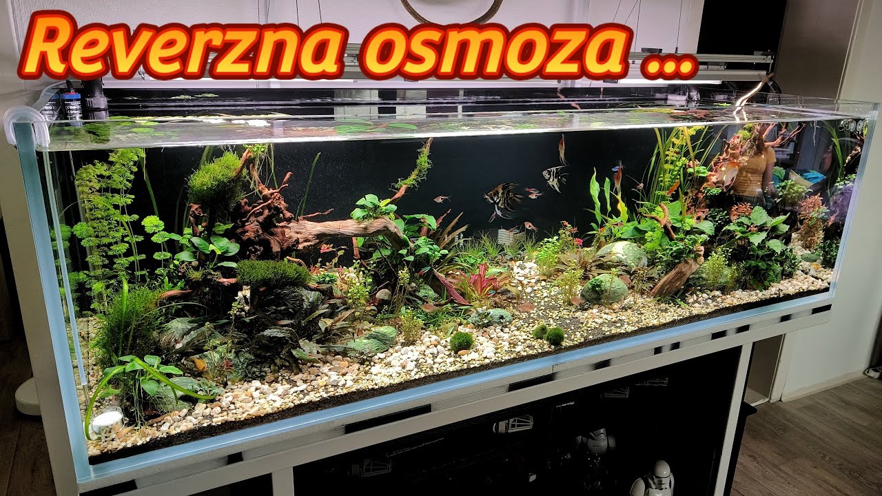 AKVARIUM 🐠 - riedenie vody do akvaria 💧 reverna osmoza,  údržba akvaria 🐟🍀