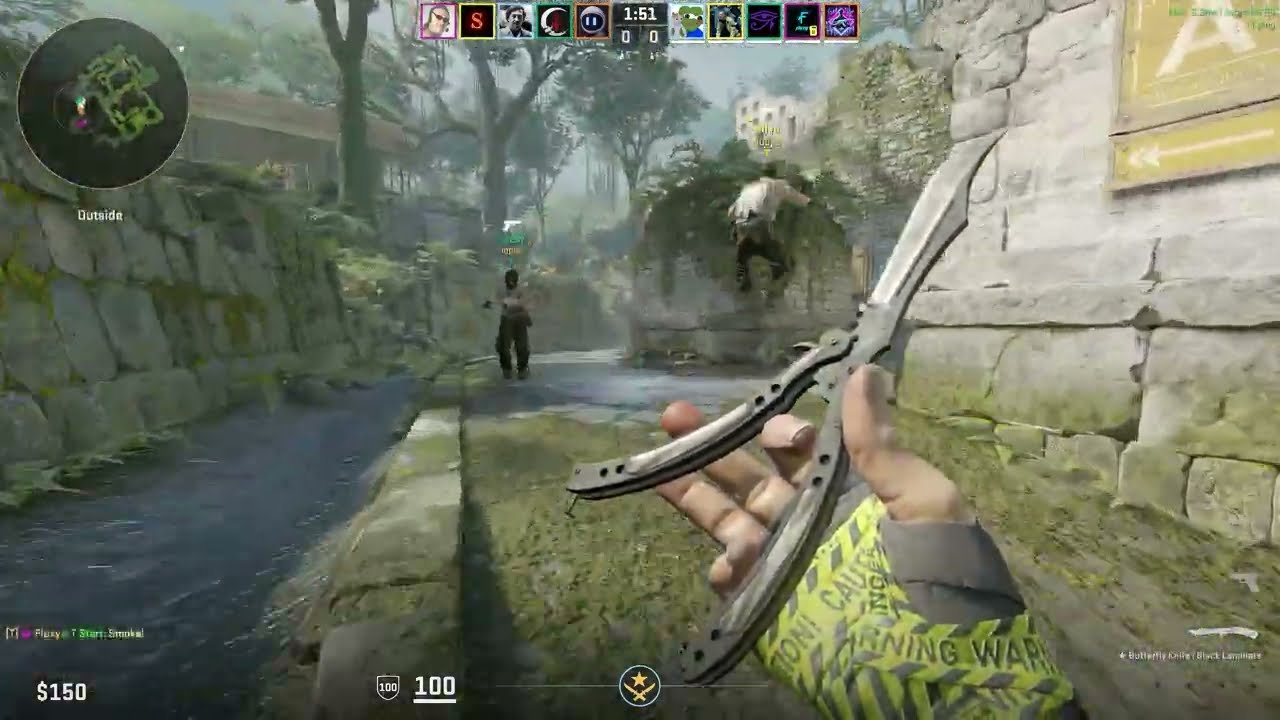 Renown CS2 gaming on Linux