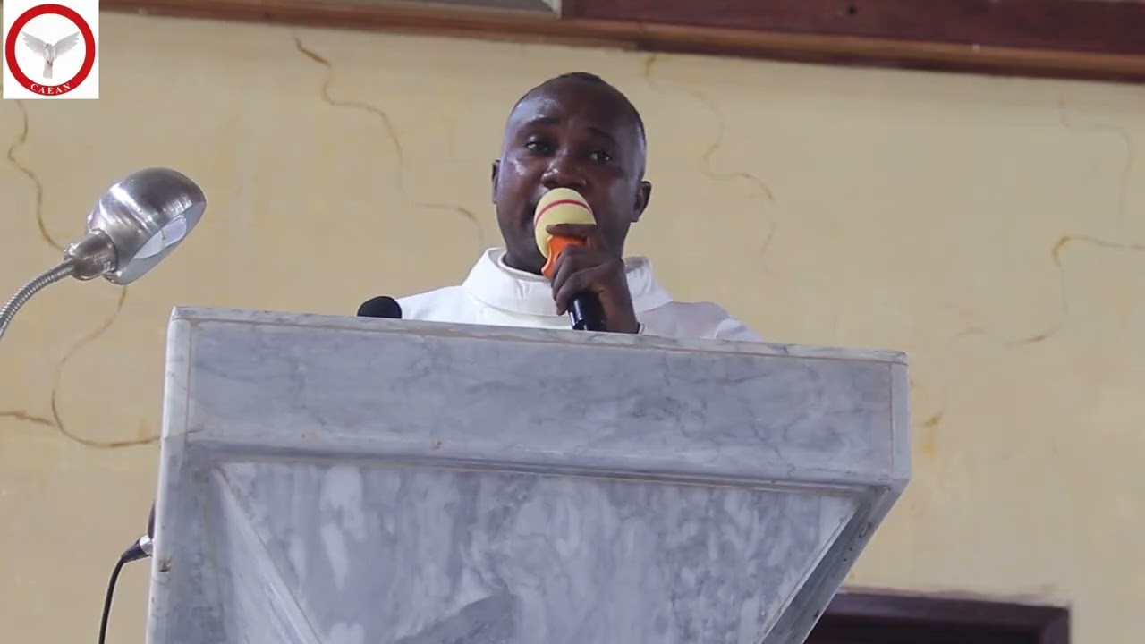 WORLD DISABILITY DAY celebration by House of Providence Special school , Servant of Charity ibadan