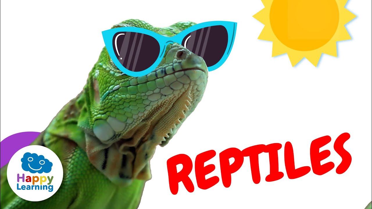 Cool facts about REPTILES | Happy Learning 🐉 🦎 🐍