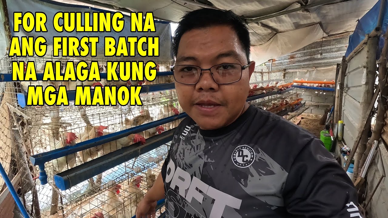 For sale na ang mga first batch kung manok 