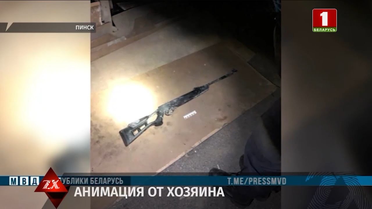 Негостеприимный хозяин: в частном секторе города обстреляны двое мужчин. Заведено уголовное дело