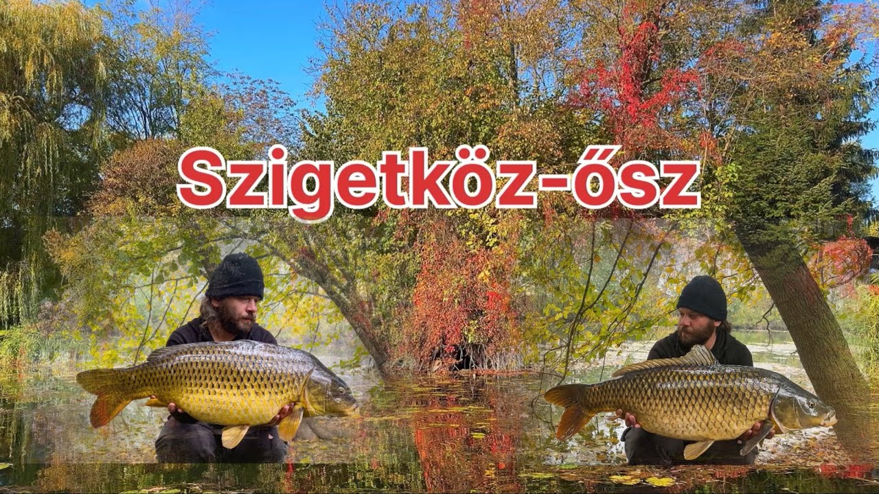 Szigetköz Ősz