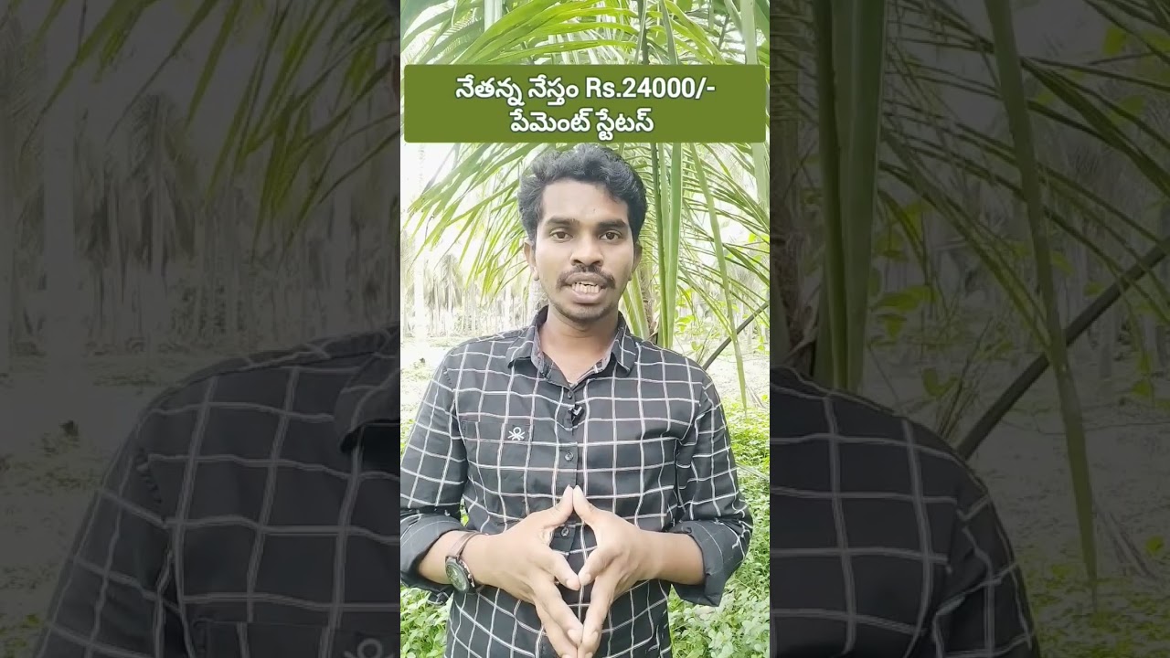 Nethanna Nestham Payment Status 2023 - Nethanna Nestham Latest News
