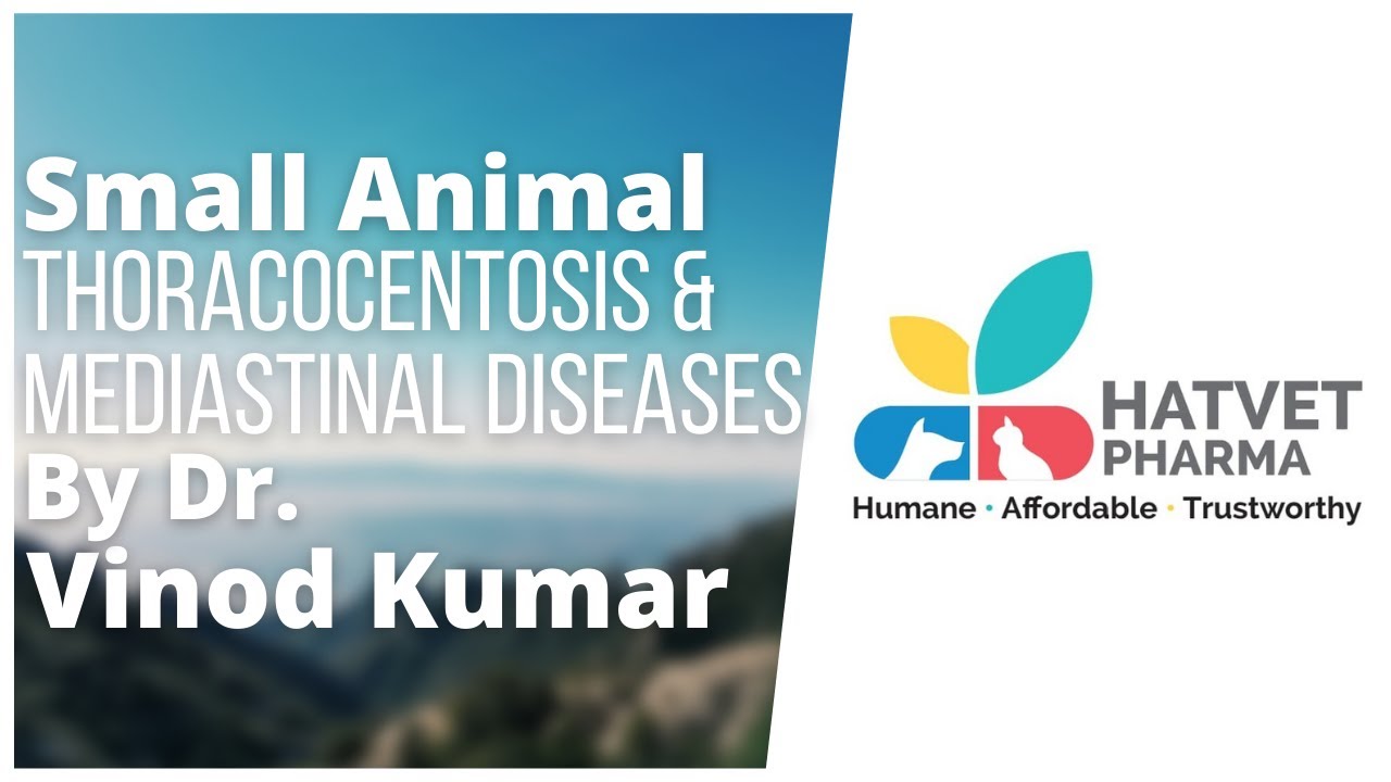 Thoracocentesis & Mediastinal Diseases In Dogs & Cats By Dr. Vinod Kumar