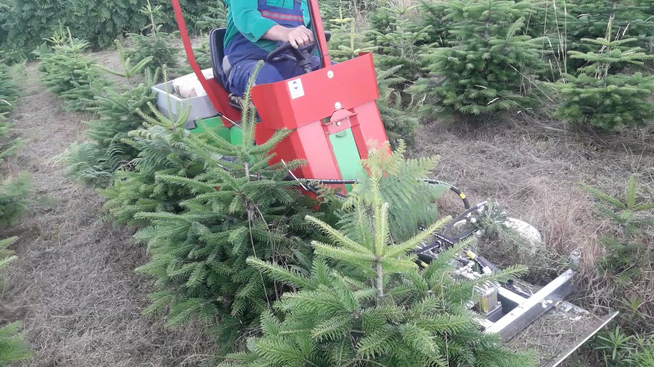 Schwingarmmulcher von Kemper mit Egholm in Weihnachtsbaumkultur