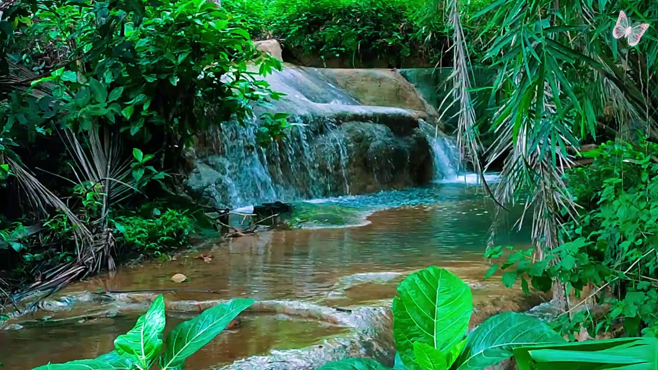 Relaxing Music For Stress Relief, Anxiety and Depressive States🌲 Heal Mind, Body and Soul Calm 108