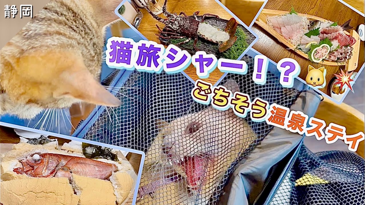 【猫と旅行】猫と泊まれる温泉宿でグルメ旅！静岡「かわづの里」で猫ちゃんにシャー！？【トンキニーズ】