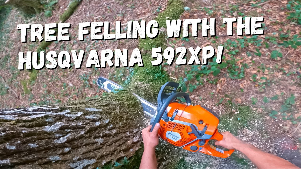 Husqvarna 592 XP Felling Ash - Pure Awesomeness