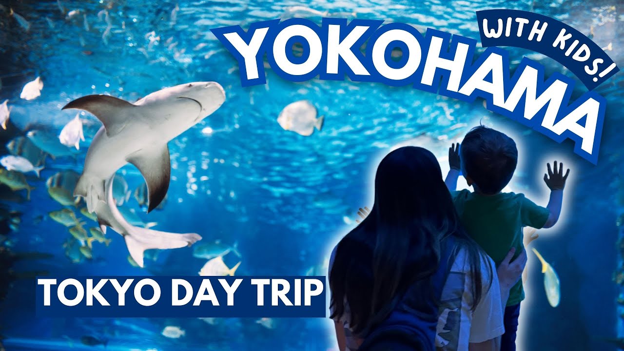Иокогама с детьми: музей Кэйкю и парк развлечений Yokohama Hakkeijima Sea Paradise | Однодневная ...