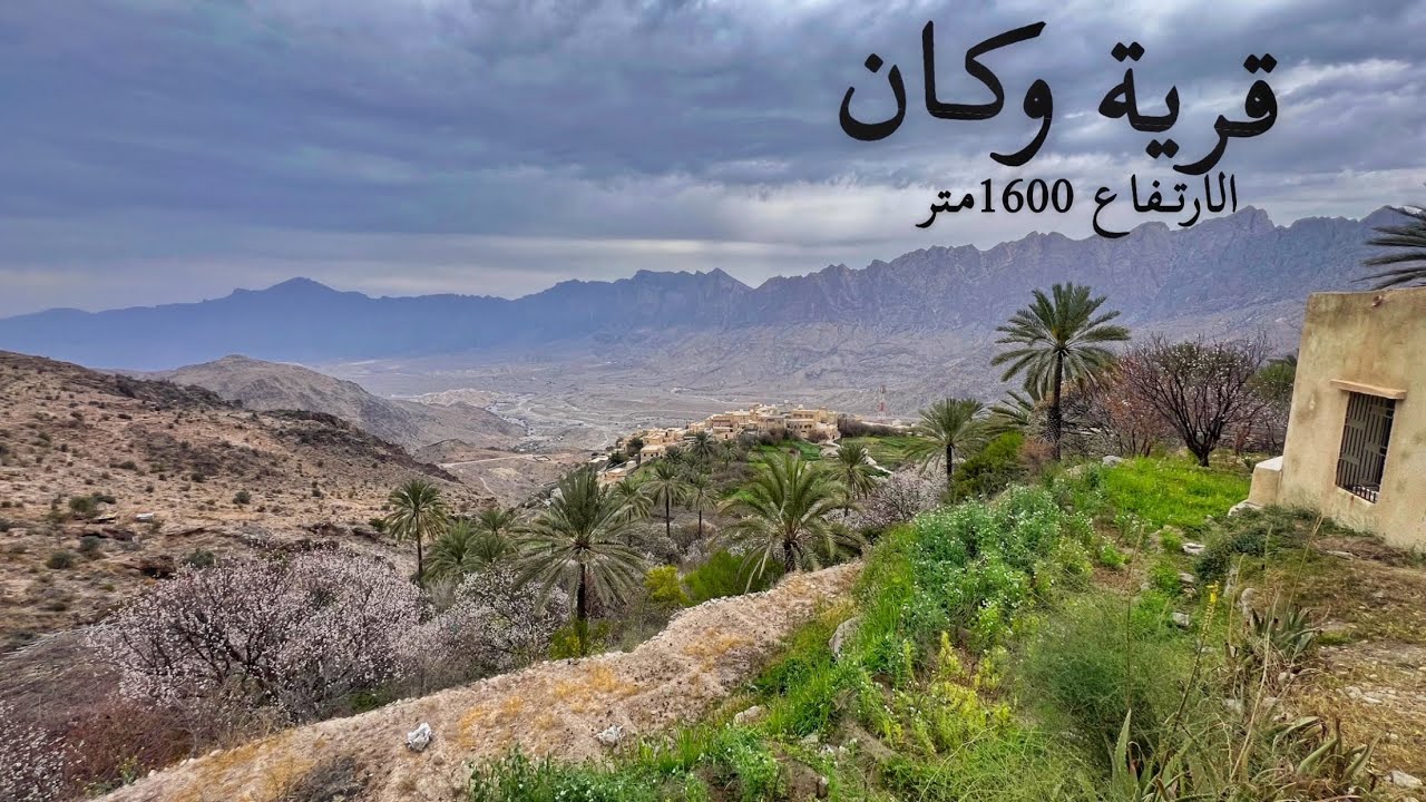 ( 251 ) رحلة إلى عمان قرية وكان 18/2/2025 الجزء 2