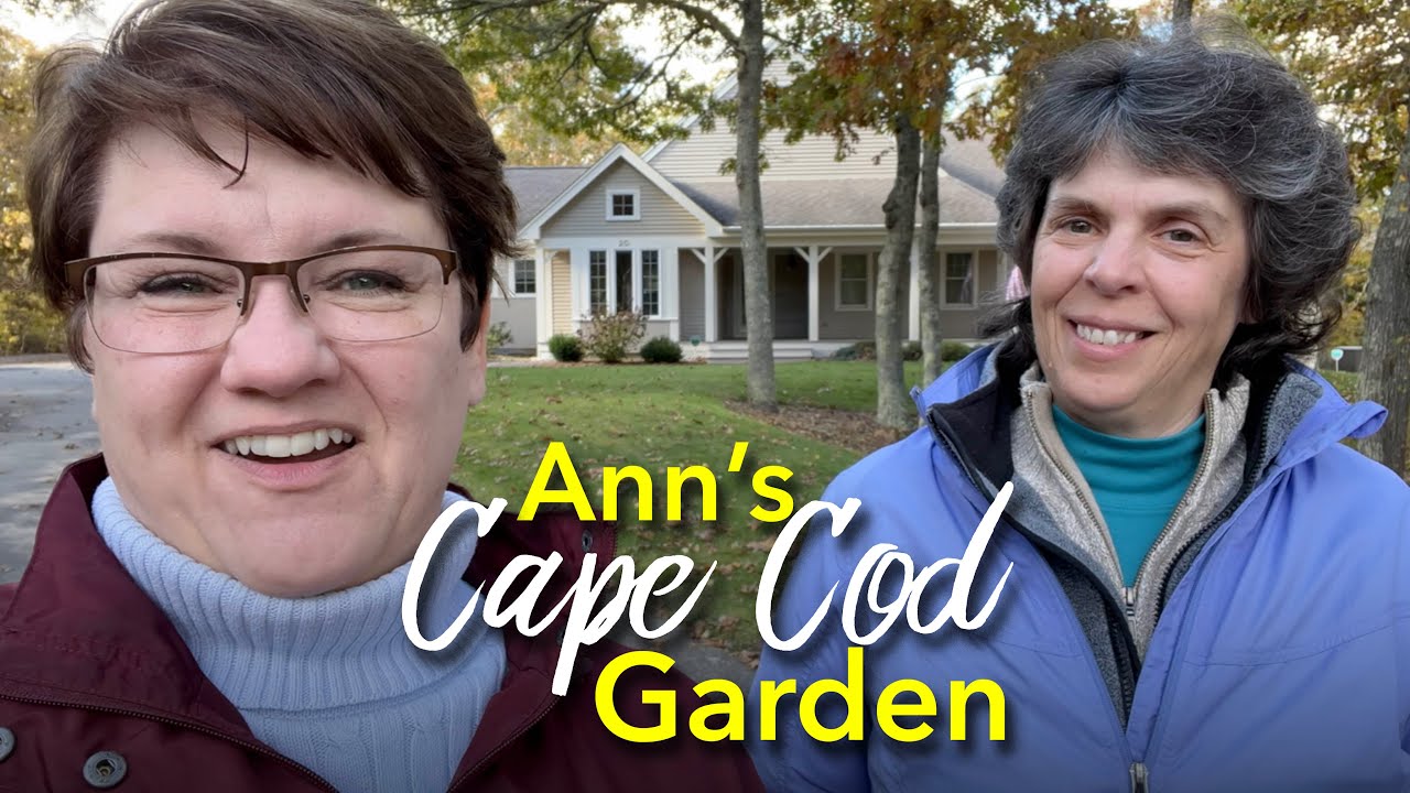 Tour of Ann's Garden on Cape Cod - 🌸🌳🌺