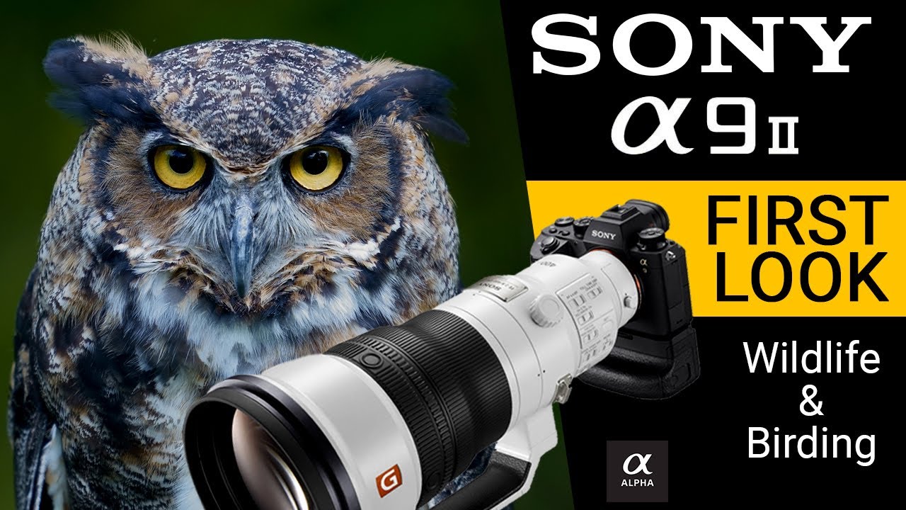 Sony Alpha A9II PREVIEW | Bird and wildlife photography photo review and first look