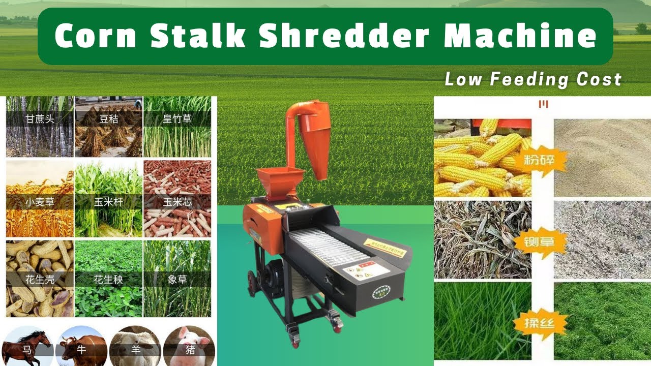 Corn stalk shredder machine, corn stalk pellet, march 19th 2023,low feeding cost, cattle,sheep,horse