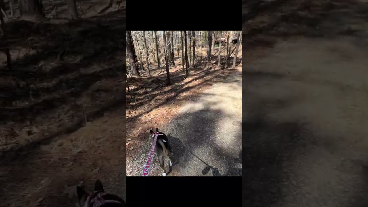 Country Walk, Virginia | Tae's Travels 