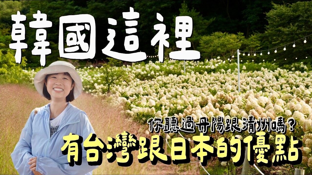 不飛首爾釜山？！美食景點逛街一次滿足！走進傳統市場體驗在地日常，小明洞網羅韓國好物，四億年天然冷氣房彷彿來到異世界。