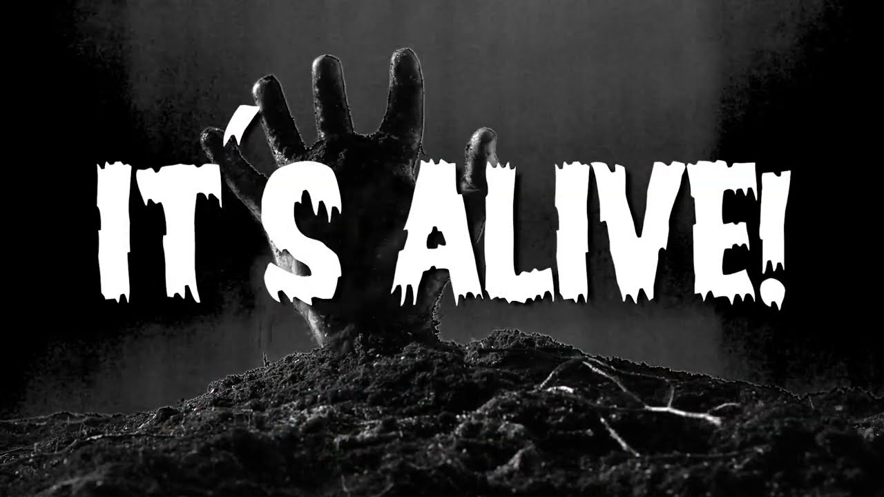 Film Is Not Dead