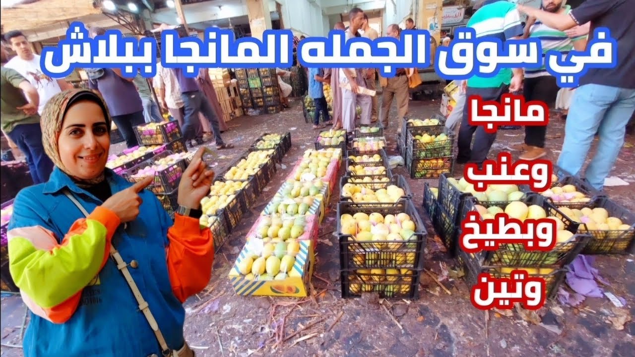المانجا ببلاش| وكاله الحضره اسكندريه| عنب وتين وبطيخ